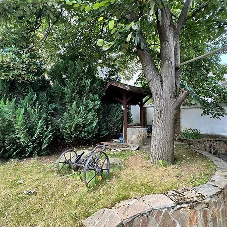 Lea Hause With Swimming Pool,jacuzzi In Vitosha Montain And Free Parking Sofia
