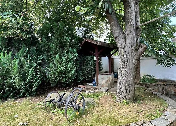 Lea Hause With Swimming Pool,jacuzzi In Vitosha Montain And Free Parking 소피아