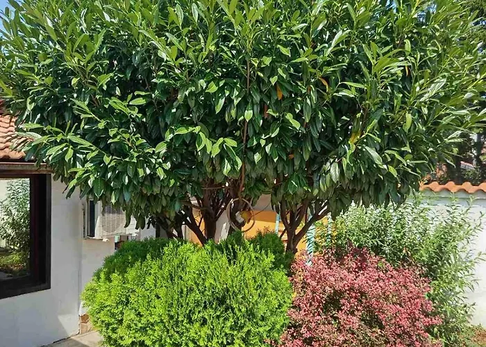 Lea Hause With Swimming Pool,jacuzzi In Vitosha Montain And Free Parking * Sofía